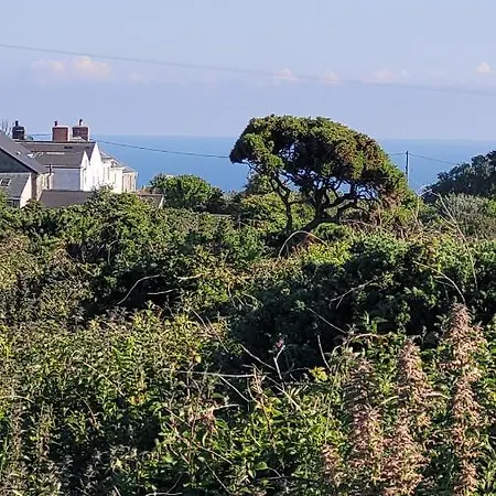 Cosy Terraced Cornish Near The Sea Holiday home